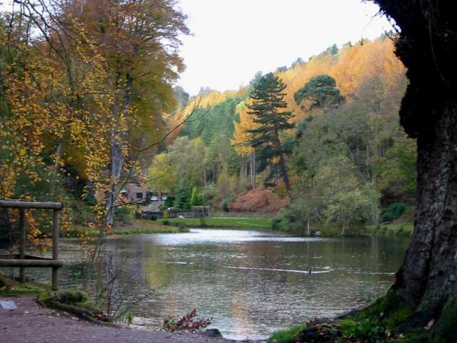 Rock View Cottage, 2 Bedrooms Near Towers Casa vacanze Alton (Staffordshire)